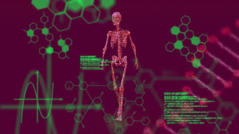 animación de fórmulas químicas y procesamiento de datos sobre la cadena de adn y movimiento del cuerpo humano