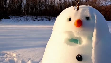 funny snowman in winter landscape