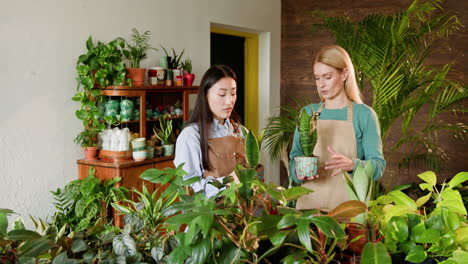 woman helping customer choose plants