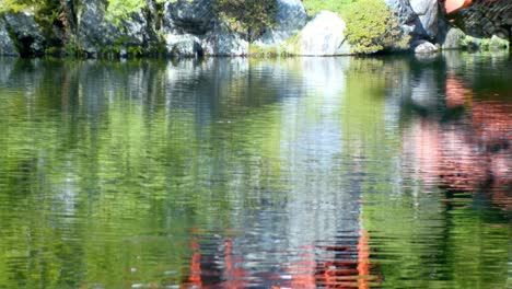 Slide-shot-of-beautiful-pond-in-a-Japanese-garden-in-Kyoto,-Japan-4K-slow-motion