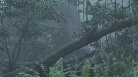 misty rainforest landscape