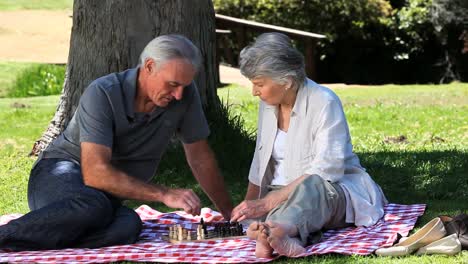 elderly couple playing chess on a tablecloth