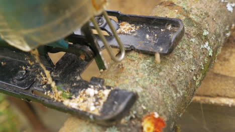 the chainsaw cutting the log of wood