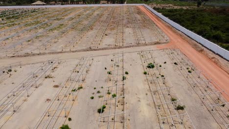vuelo aéreo sobre cuadros de paneles solares vacíos en la planta de energía fotovoltaica solar de nawec jambur