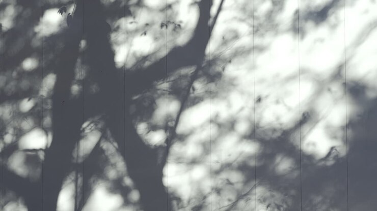 Soft shadows of tree leaves moving on a light-colored building wall