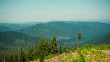 highland landscape of rolling mountains with varieties of trees in place untamed by humans. calm atmosphere and watching wildlife. nature beauty