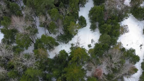 Vista-Aérea-De-Arriba-Hacia-Abajo-Volando-Sobre-Un-Bosque-Con-Un-Rastro-De-Motos-De-Nieve-En-La-Nieve