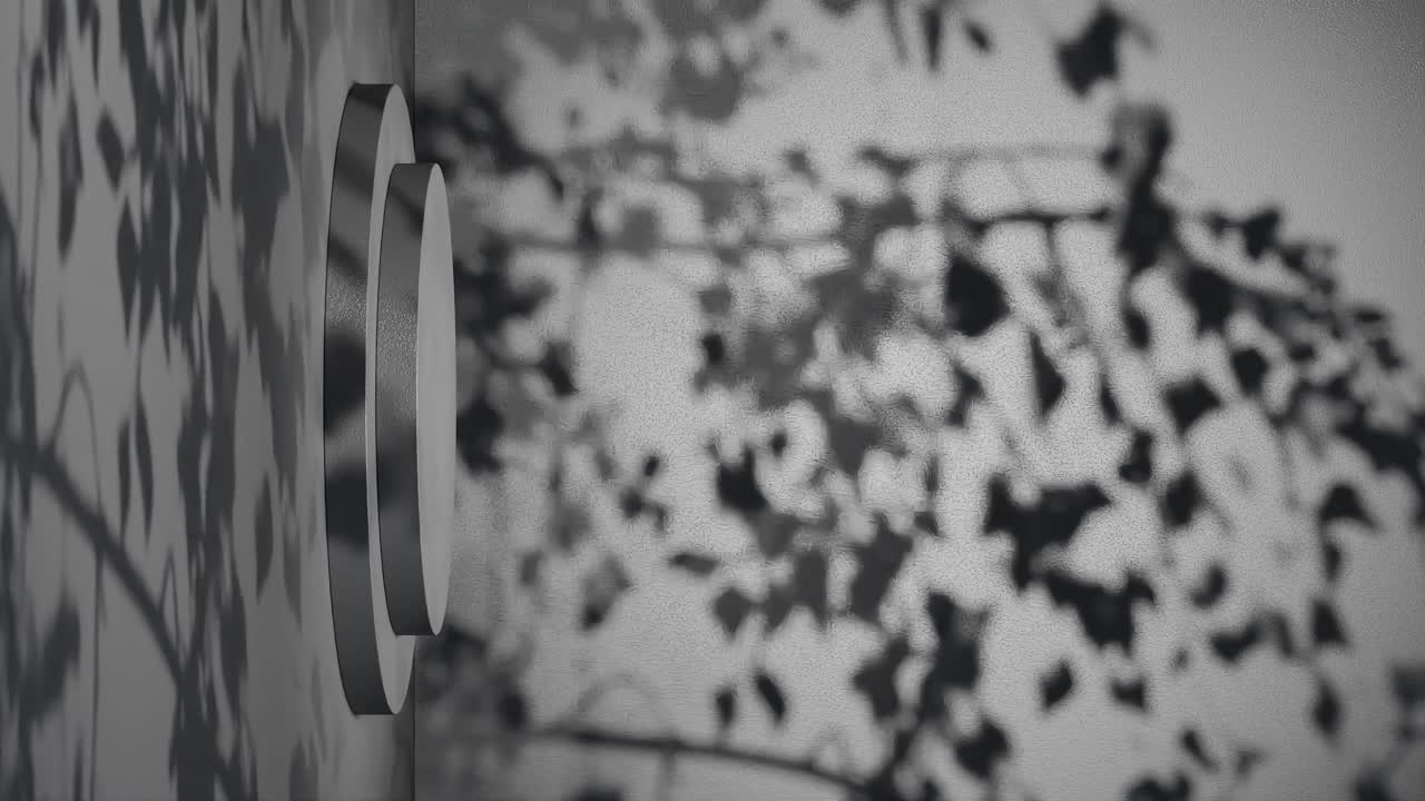 Empty podium with shadows of leaves on a black background