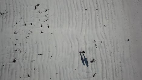 Draufsicht-Von-Zwei-Personen-Mit-Ihren-Schatten,-Die-Auf-Sand-In-Connemara,-Irland,-Laufen