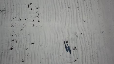 top aerial view of two people with their shadows walking on sand in connemara, ireland