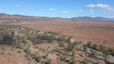 Aerial-panoramic-view-Brachina-Gorge-Creek-with-vegetation-on-Australian-Outback