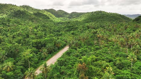 aerial view of a winding road cutting through dense tropical forest and coconut trees in the hilly terrain of siargao islands, philippines, under an overcast sky with lush greenery all around