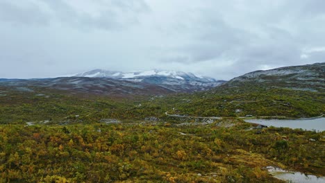 Aerial-over-the-forested-hills-near-Breheimen,-Norway