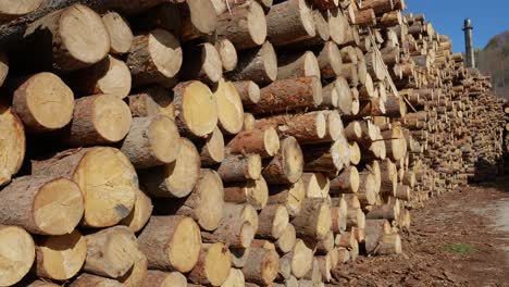 Panning Shot Of Pile Of Wood Logs Storage. There is a chimney in the distance