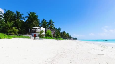 muy hermosa playa tropical de arena blanca con árboles de coco y casa de paja en la isla de zanzíbar