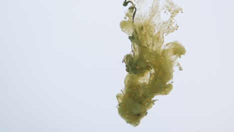 la pintura verde explota y pulveriza en el agua sobre un fondo blanco. abstracción de color