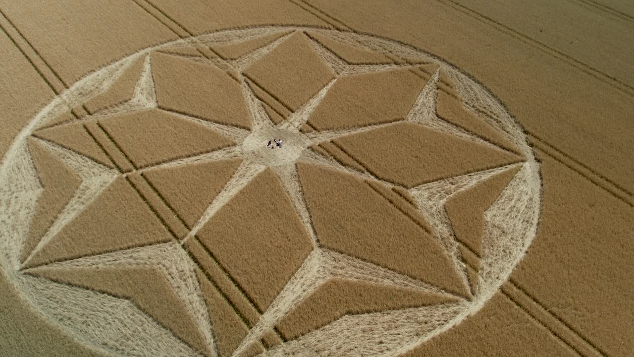 Tichborne mysterious golden farmland geometric flower pattern crop circle aerial orbit right view