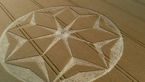tichborne mysterious golden farmland geometric flower pattern crop circle aerial orbit right view