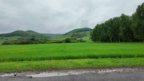 Campo-Panorámico-De-Mayo-Con-Cámara-Deslizante-Lateral.