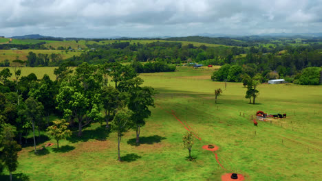 green trees and fields against cloudy sky in atherton tablelands, queensland, australia - aerial drone shot