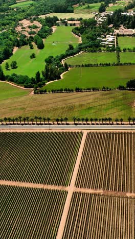 tobacco season agriculture background ,agricultural industry concept