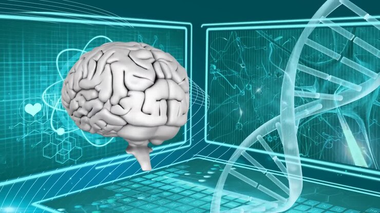 Human brain and DNA