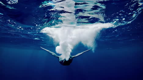whales underwater