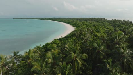 un bosque verde a lo largo de la línea costera con arena blanca de la playa y el cielo nublado
