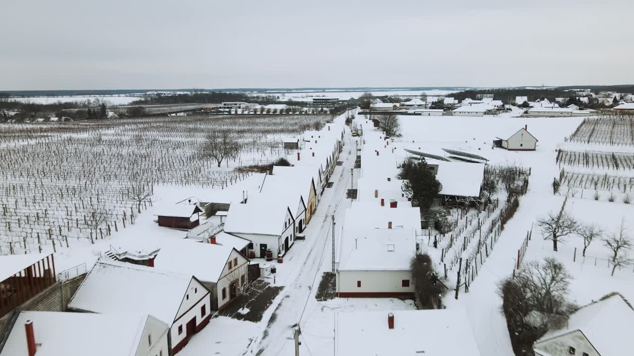 Nemesnadudvar Wine road and dormant vineyards covered in white snow, Hungary