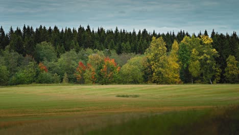 a small flock of cranes flies gracefully above the green meadow and colourful autumn forest