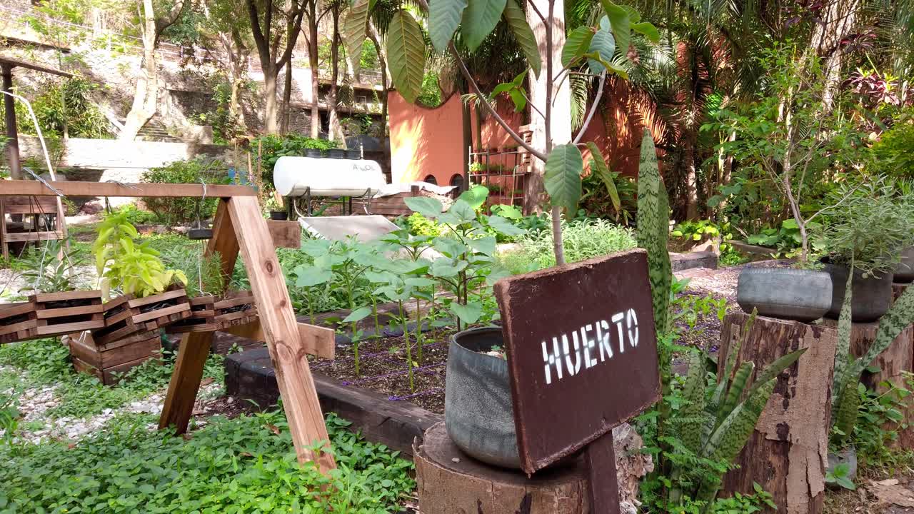 A tranquil community garden in Parque Chapultepec Morelos, featuring plants and wooden structures