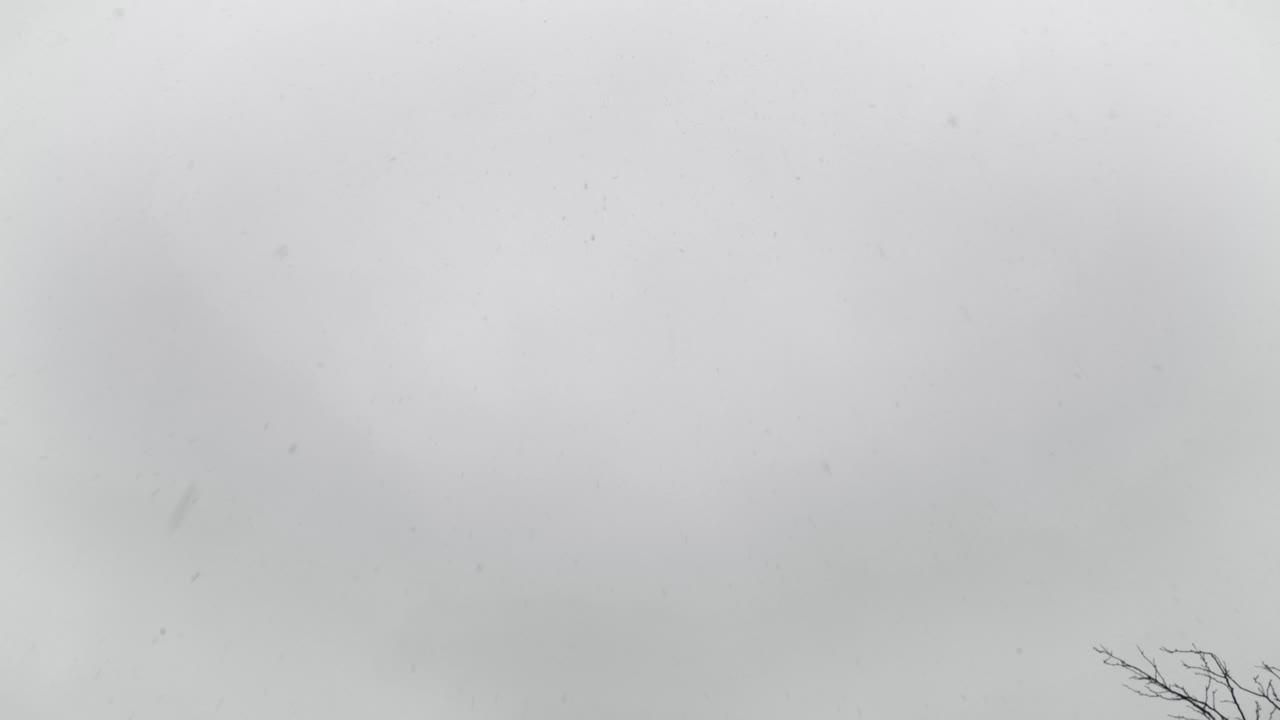 Snow Falling from Gray Sky on an Overcast Day