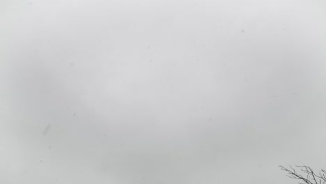 nieve cayendo del cielo gris en un día nublado