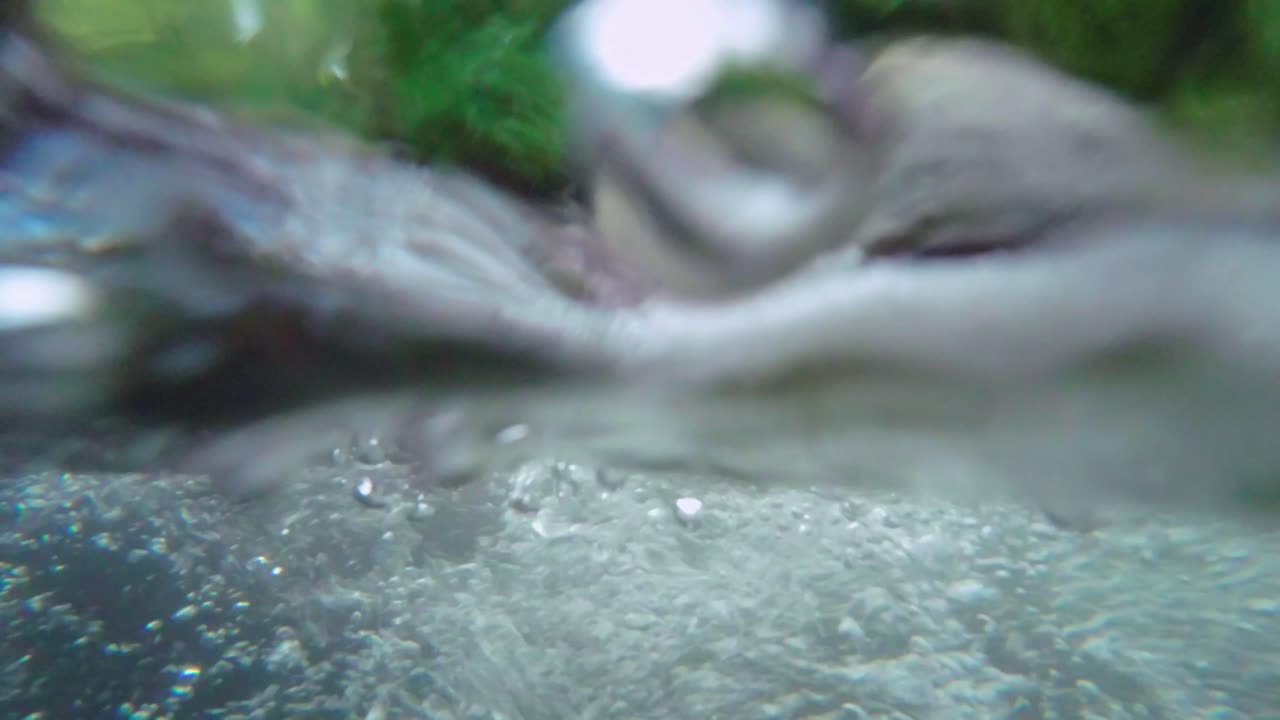 도미니카 공화국 의 리오 지마 의 격동 한 강 수면 에 있는 카메라