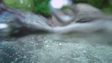 camera on water surface of agitated river, rio jima in dominican republic