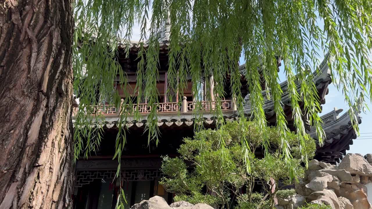 Admiring the Yu Garden pavilions in a sunny day