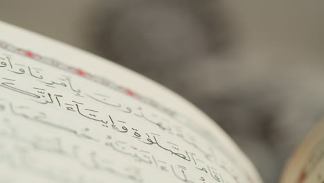 quran book close-up, praying, islamic religion. religious holiday ramadan, holy month. worship, making traditional prayer to god