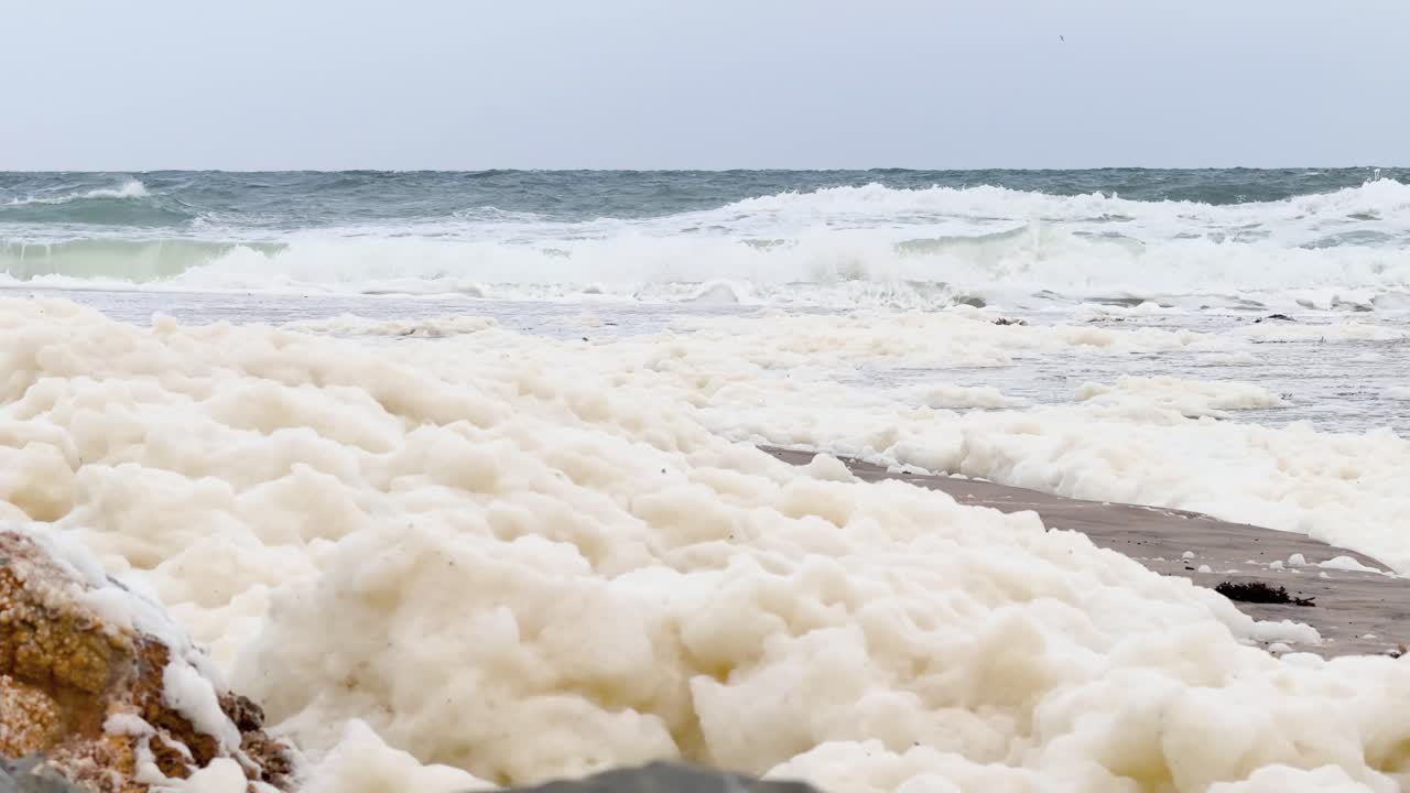 A massive toxic algal bloom, producing thick white foam, covering a Beach in South Australia. This ecological event highlights critical environmental concerns and marine health impacts