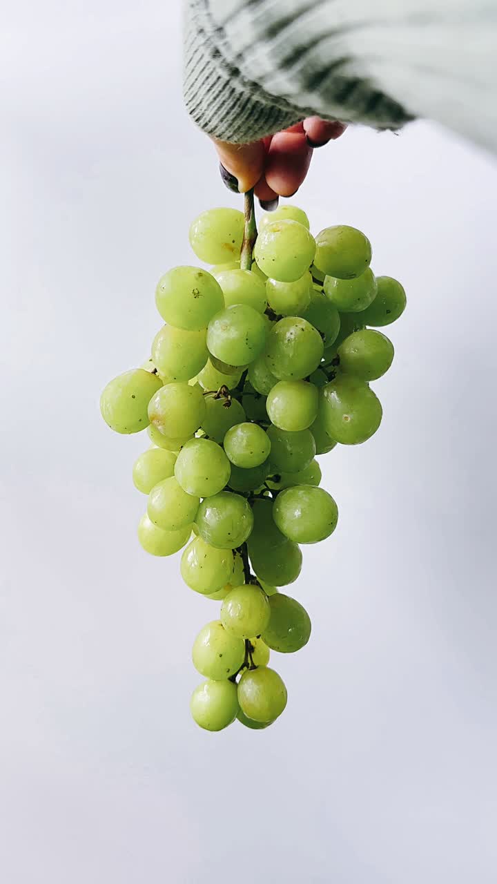 mano sosteniendo un ramo de uvas verdes