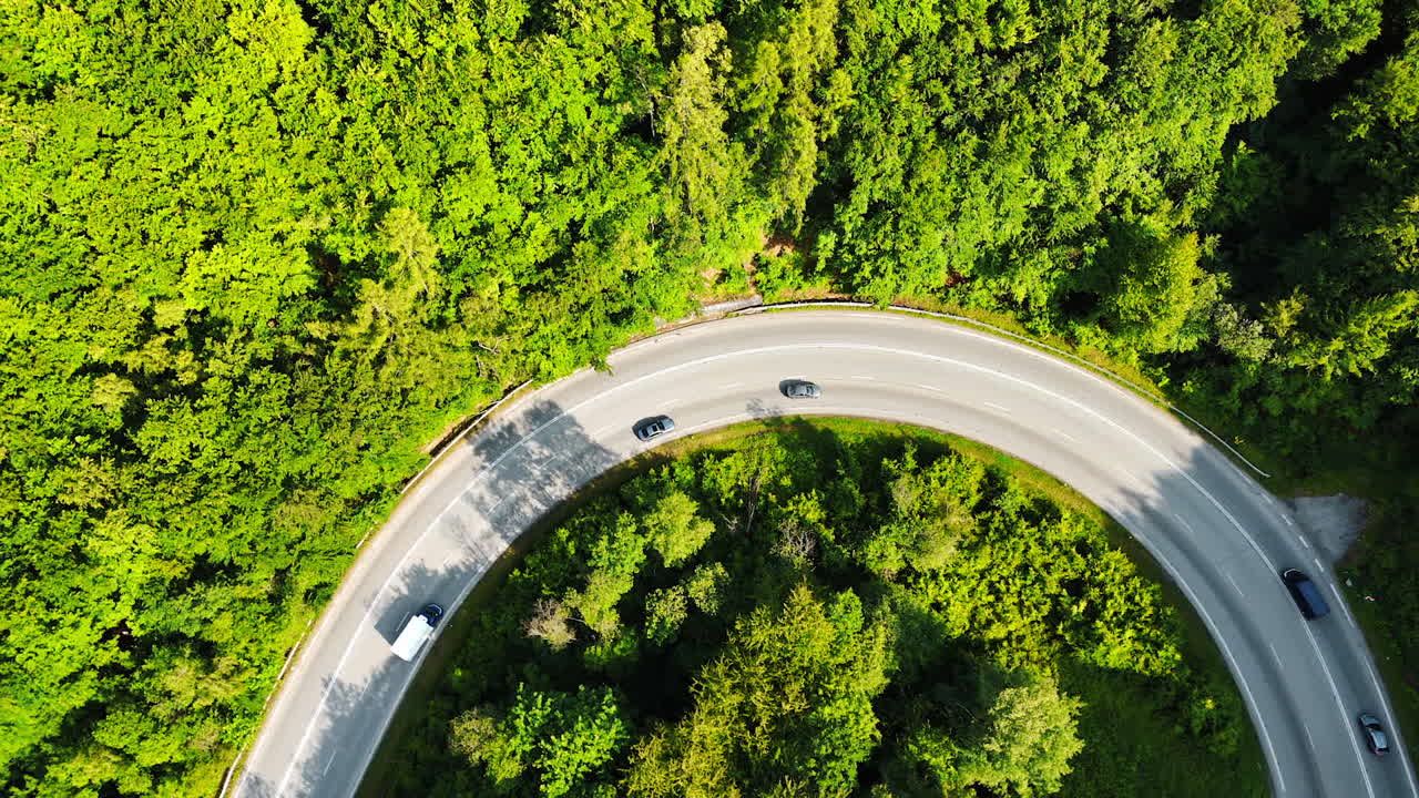 Loop of the road crossing the lush greenery. Cars moving by the highway in the woods. Top view