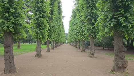 Path-with-trees-in-an-urban-park-in-Aalborg,-Denmark