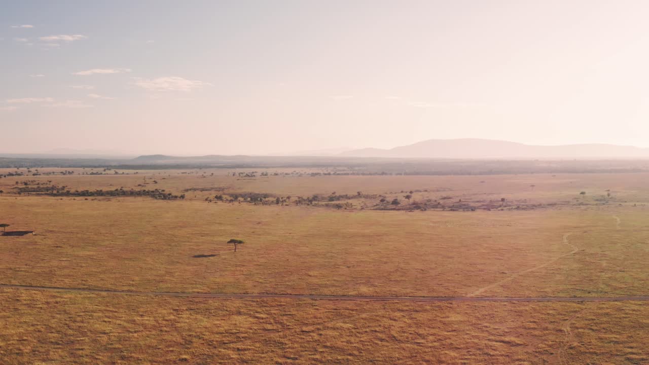 Aerial drone shot of Maasai Mara Africa Landscape Scenery of Savanna Plains and Grassland, Acacia Trees High Up View Above Masai Mara National Reserve in Kenya, Wide Establishing Shot Flying Over