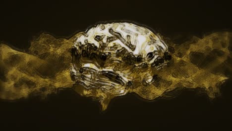 human biology dna skull brain animation 4k