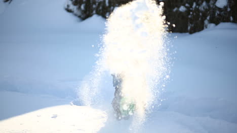 Little boy in winter day. Boy walking and having fun on a windy winter day