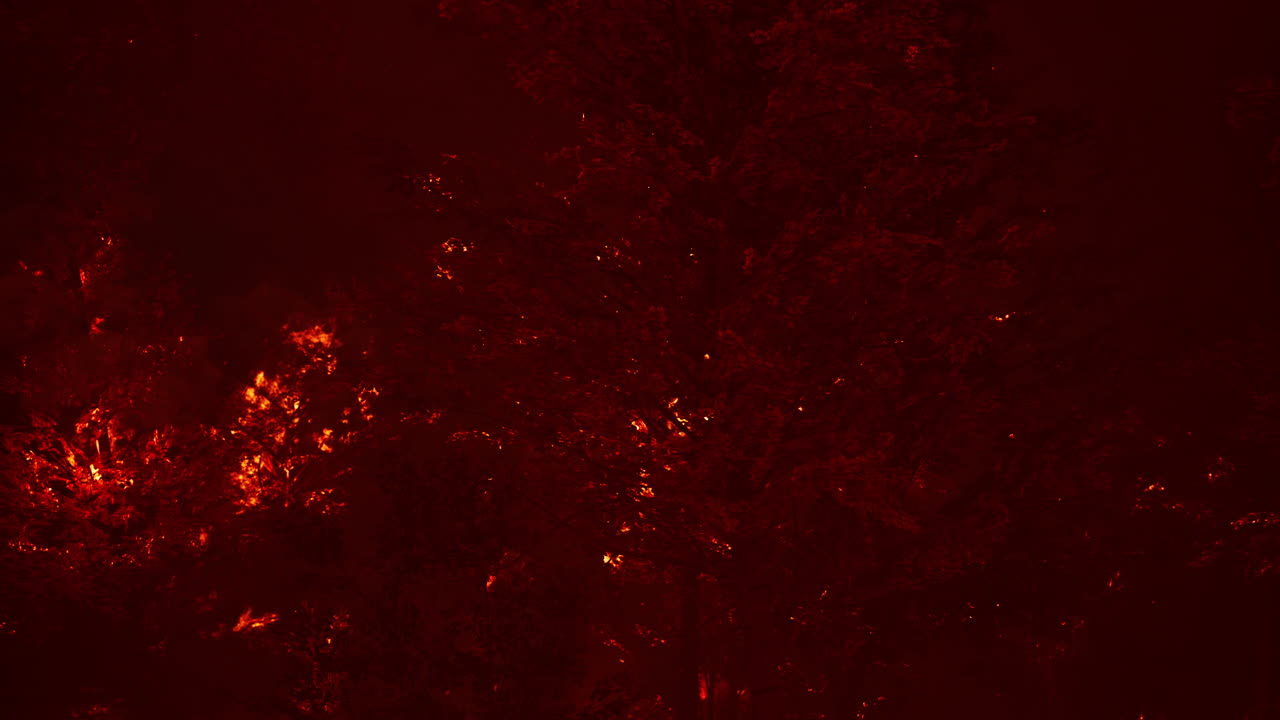 산불 이 숲 에서 땅 을 태우고 있다