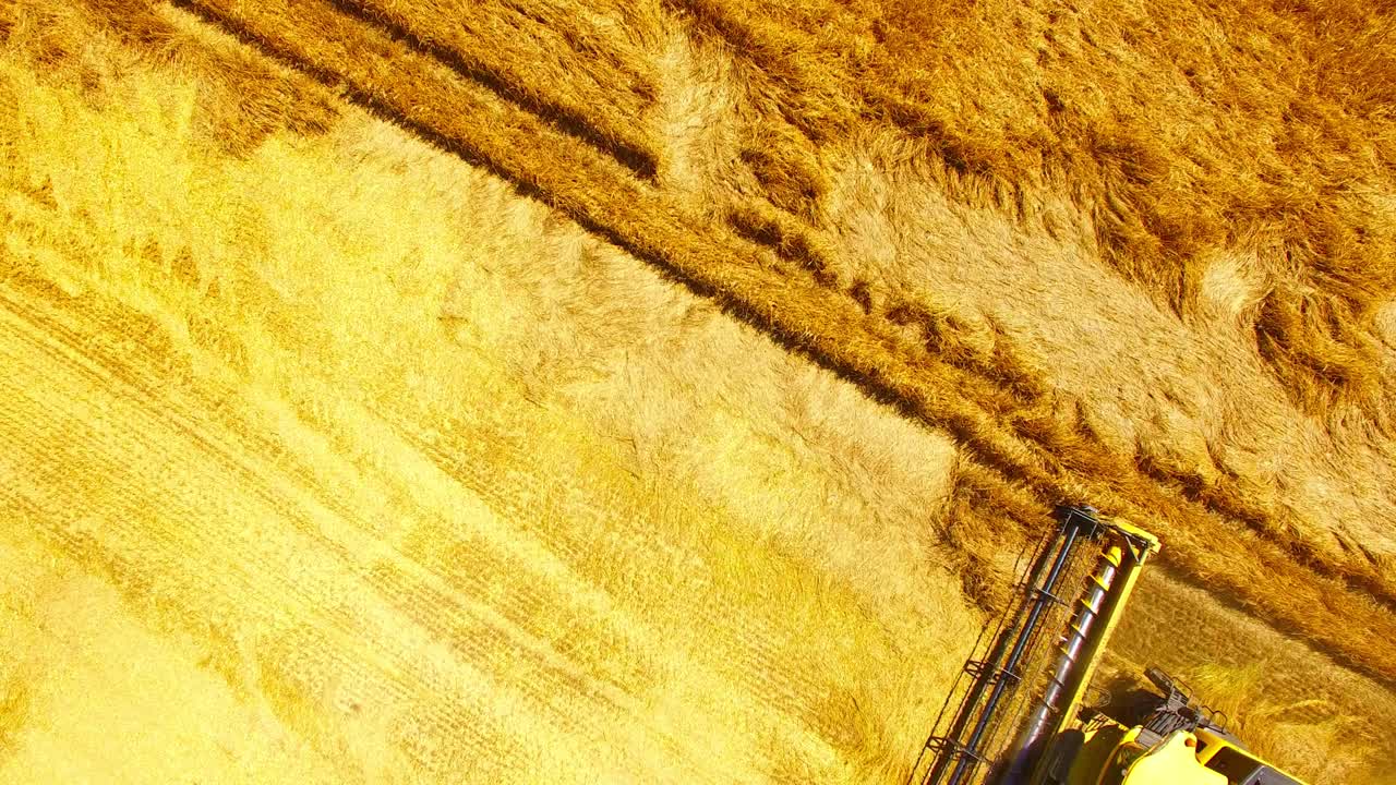 vista aérea de la cosechadora combinada. cosecha de un campo de trigo. antecedentes industriales sobre el tema agrícola. biocombustibles y producción de alimentos desde arriba. agricultura y medio ambiente en la unión europea.
