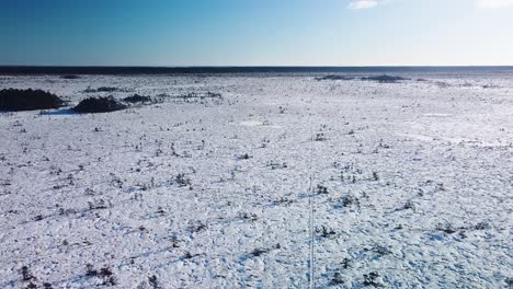 Aerial-birdseye-view-of-snowy-bog-landscape-with-hiking-trail-and-frozen-lakes-in-sunny-winter-day,-Dunika-peat-bog-,-wide-angle-ascending-drone-shot