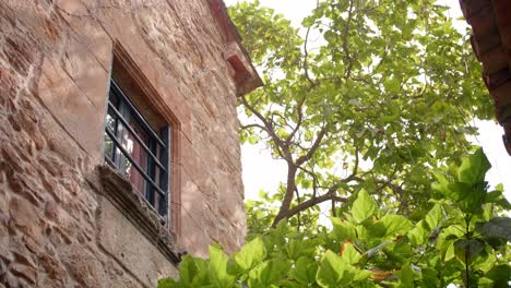 window and stone facade of an old house with tree on a windy day