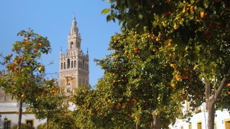 Giralda-Turm-Durch-Orangenbaumblätter