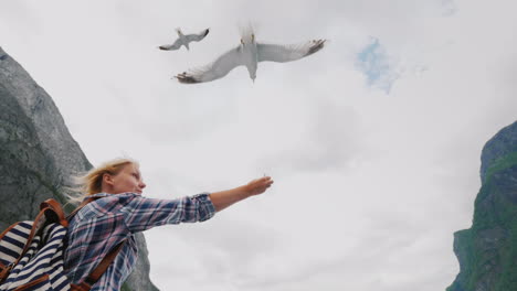 a woman is feeding a gull that flies by trust and tame the concept journey through the fjords of nor